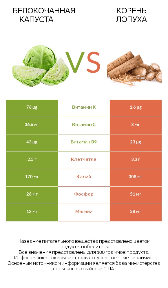 Белокочанная капуста vs Корень лопуха infographic