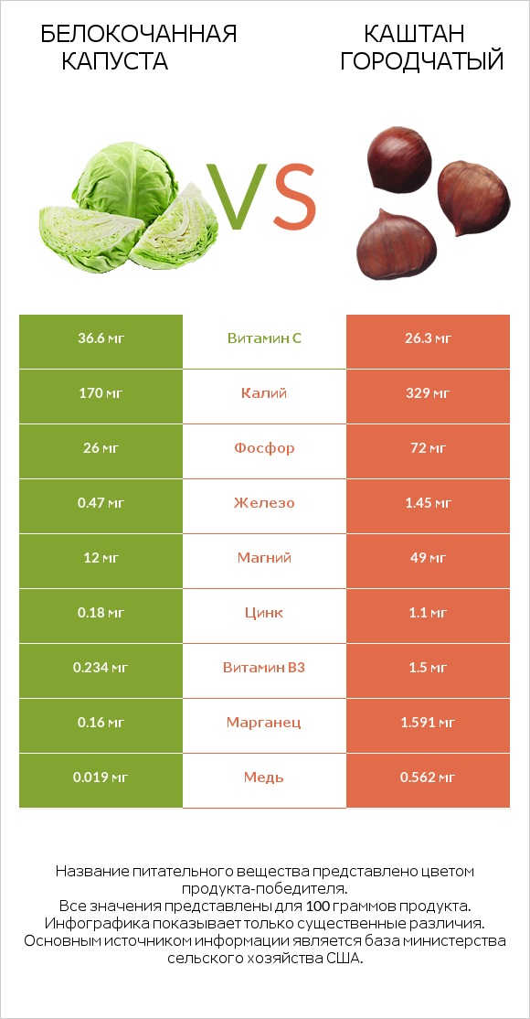 Белокочанная капуста vs Каштан городчатый infographic