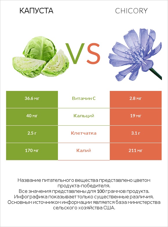 Капуста vs Chicory infographic