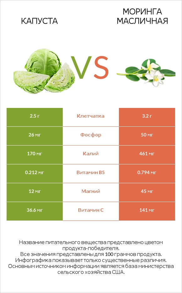 Капуста vs Моринга масличная infographic