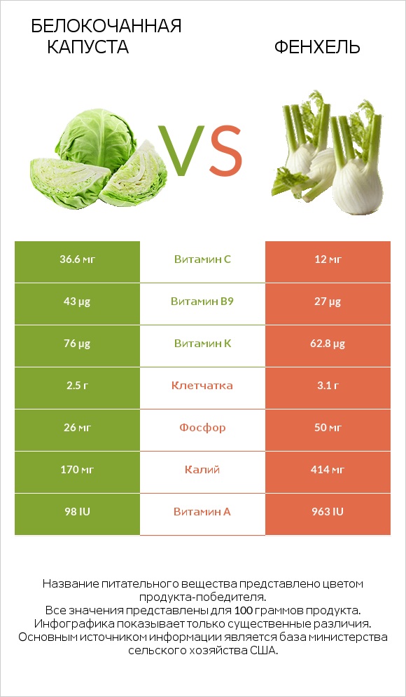 Белокочанная капуста vs Фенхель infographic