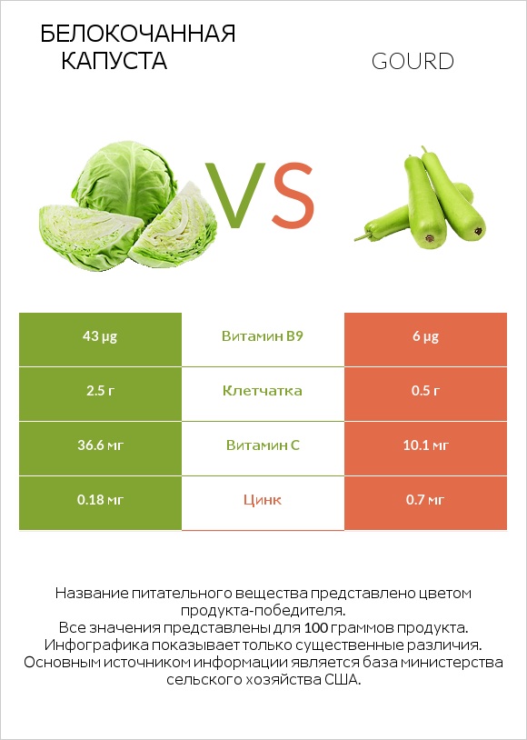 Белокочанная капуста vs Gourd infographic