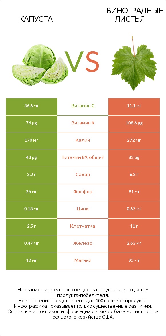 Капуста vs Виноградные листья infographic