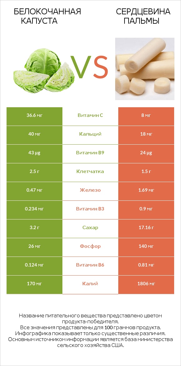 Белокочанная капуста vs Сердцевина пальмы infographic