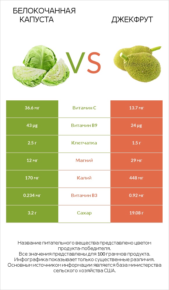 Белокочанная капуста vs Джекфрут infographic