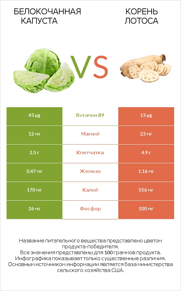 Капуста vs Lotus root infographic