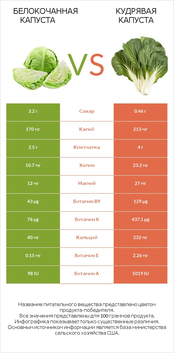 Белокочанная капуста vs Кудрявая капуста infographic