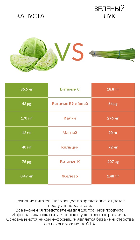 Капуста vs Зеленый лук infographic