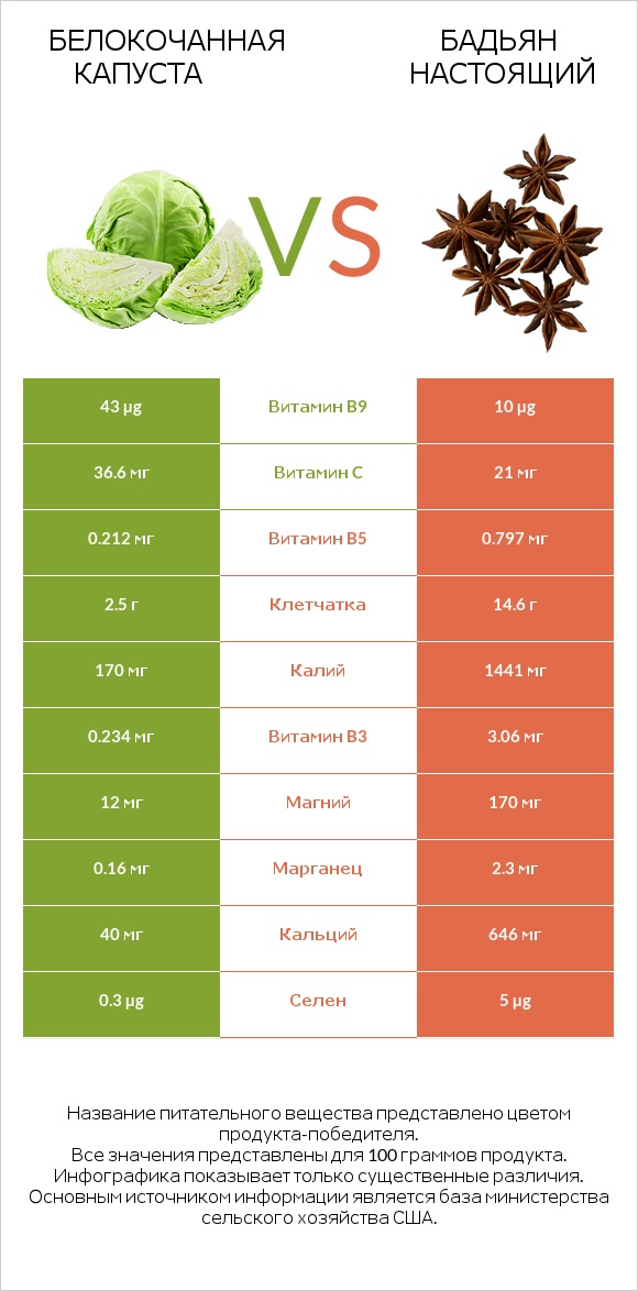 Белокочанная капуста vs Бадьян настоящий infographic