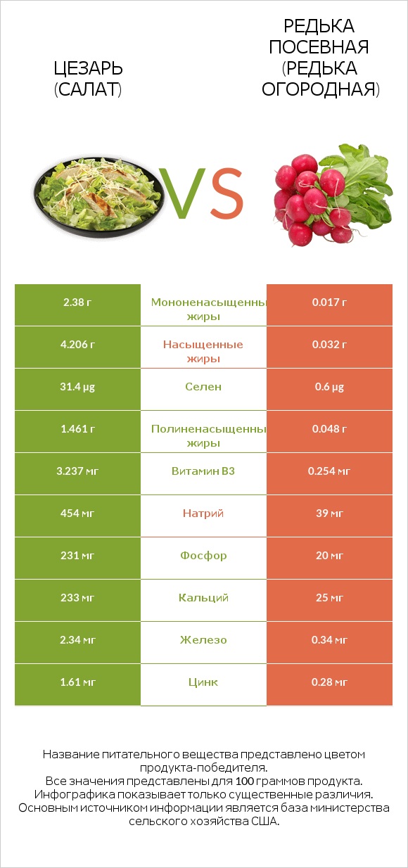 Цезарь (салат) vs Редька посевная (Редька огородная) infographic