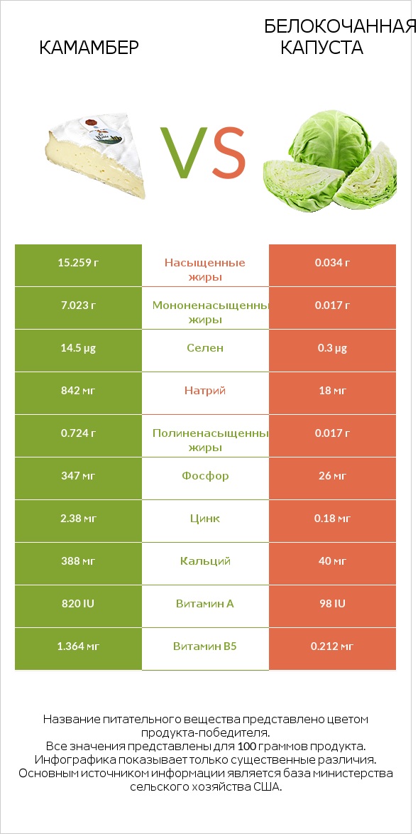 Камамбер vs Белокочанная капуста infographic