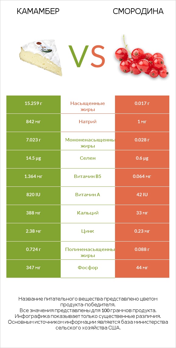 Камамбер vs Смородина infographic