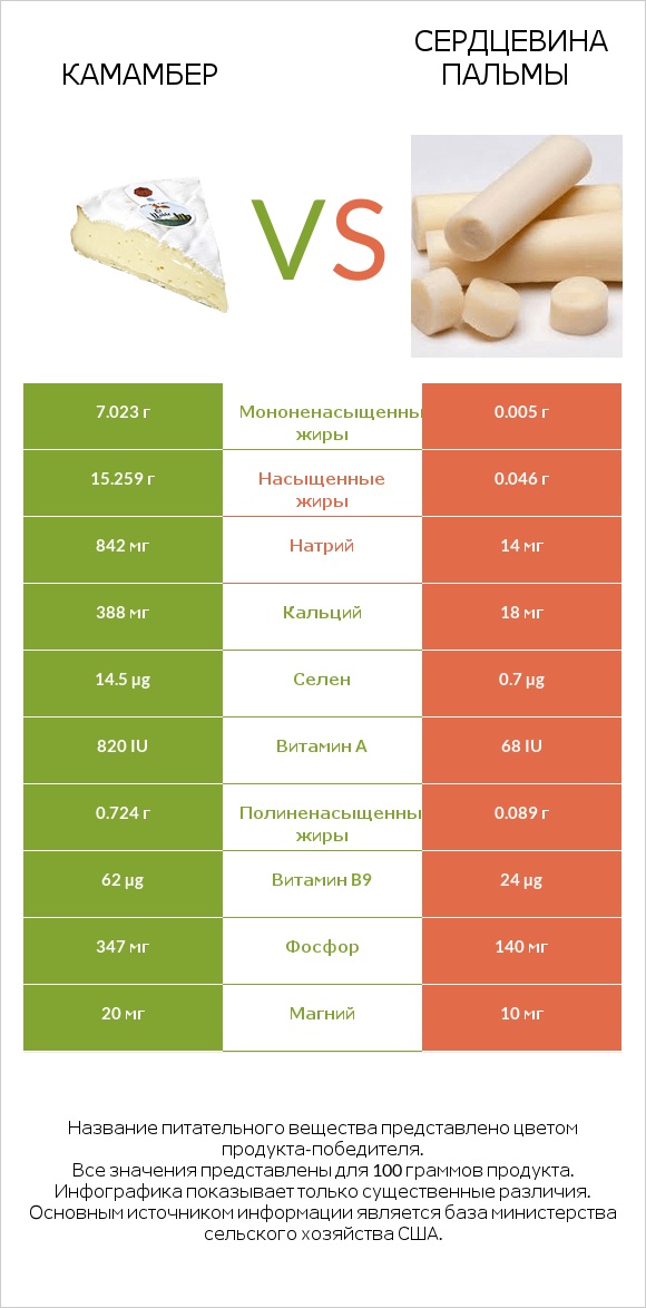 Камамбер vs Сердцевина пальмы infographic