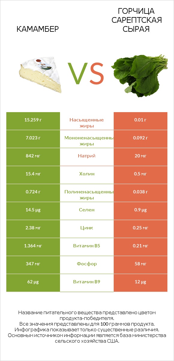 Камамбер vs Горчица сарептская сырая infographic