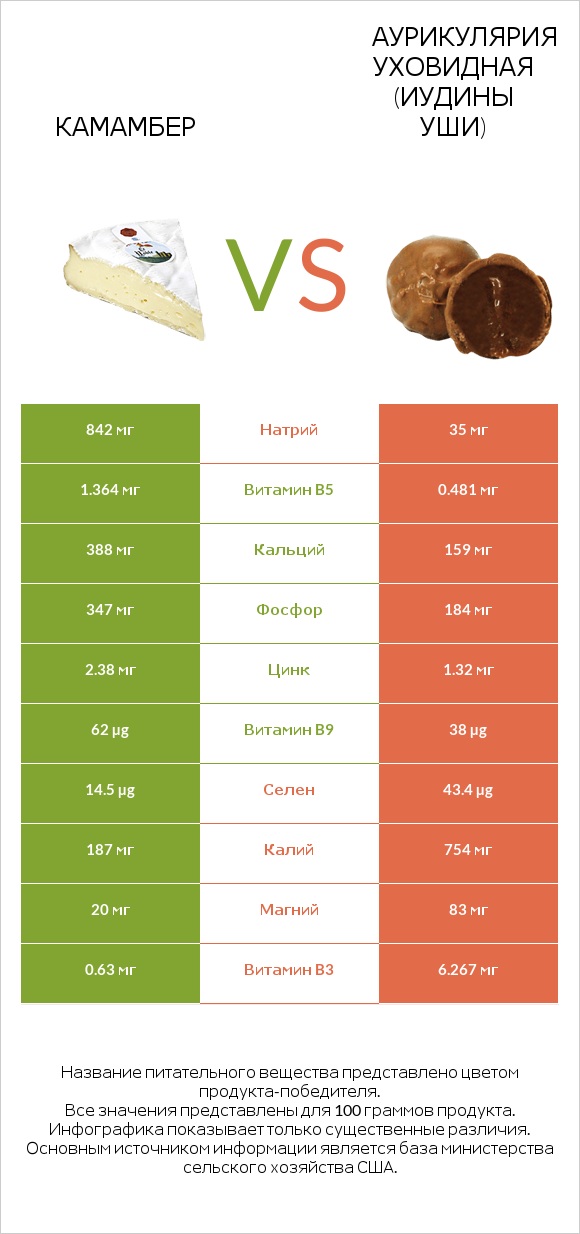 Камамбер vs Аурикулярия уховидная (Иудины уши) infographic