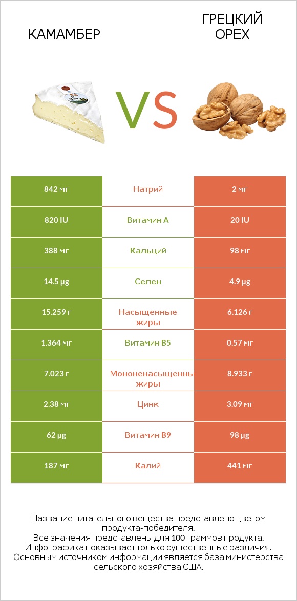 Камамбер vs Грецкий орех infographic