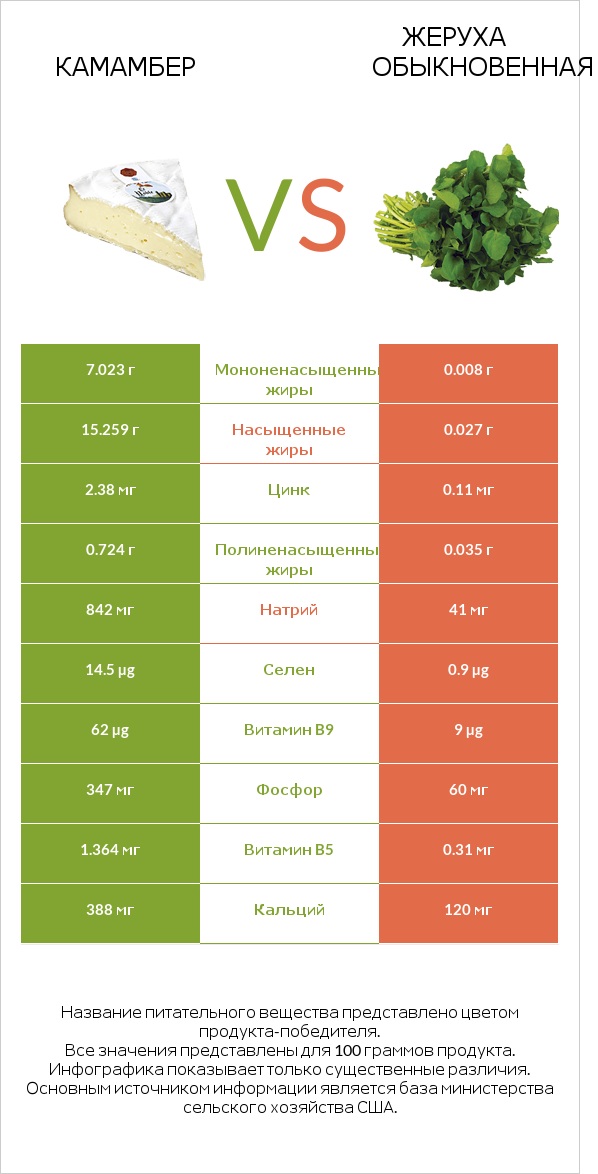 Камамбер vs Жеруха обыкновенная infographic