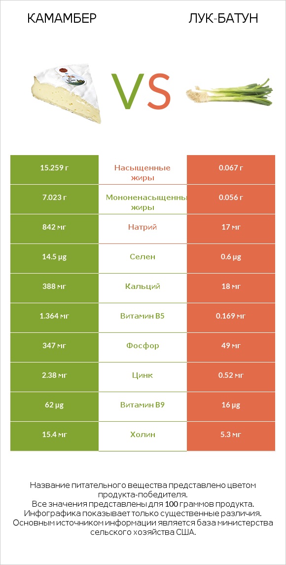 Камамбер vs Лук-батун infographic