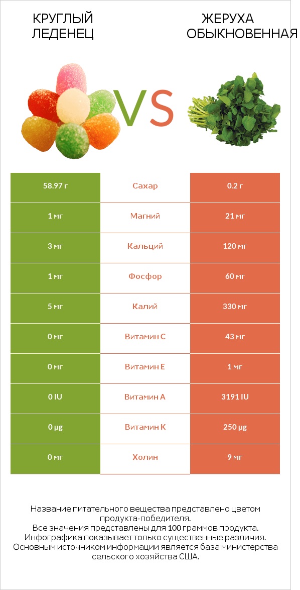 Круглый леденец vs Жеруха обыкновенная infographic