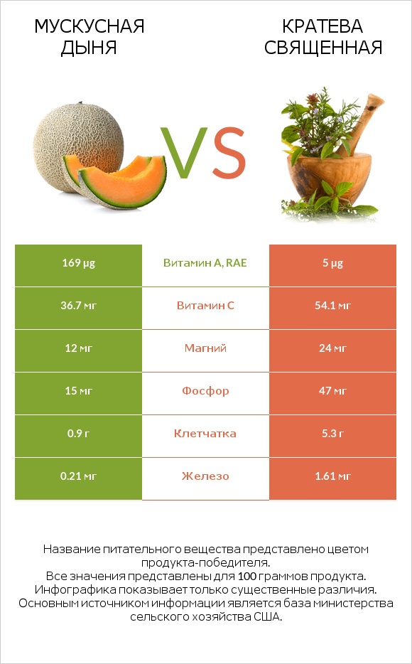 Мускусная дыня vs Кратева священная infographic