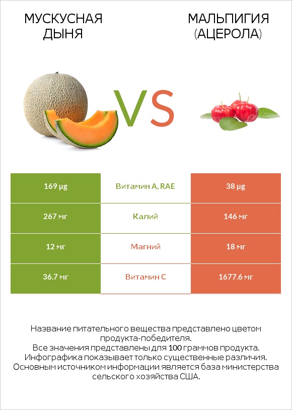 Мускусная дыня vs Мальпигия (ацерола) infographic