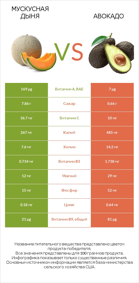 Мускусная дыня vs Авокадо infographic