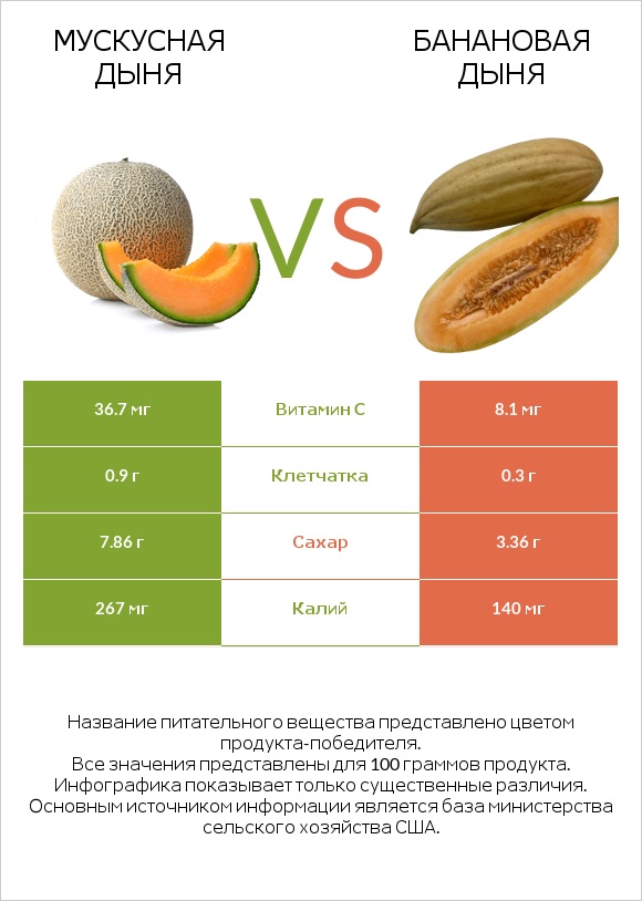 Мускусная дыня vs Банановая дыня infographic