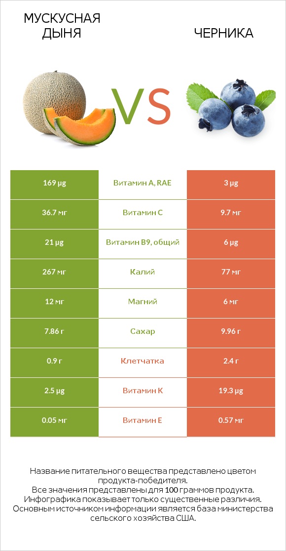 Мускусная дыня vs Черника infographic