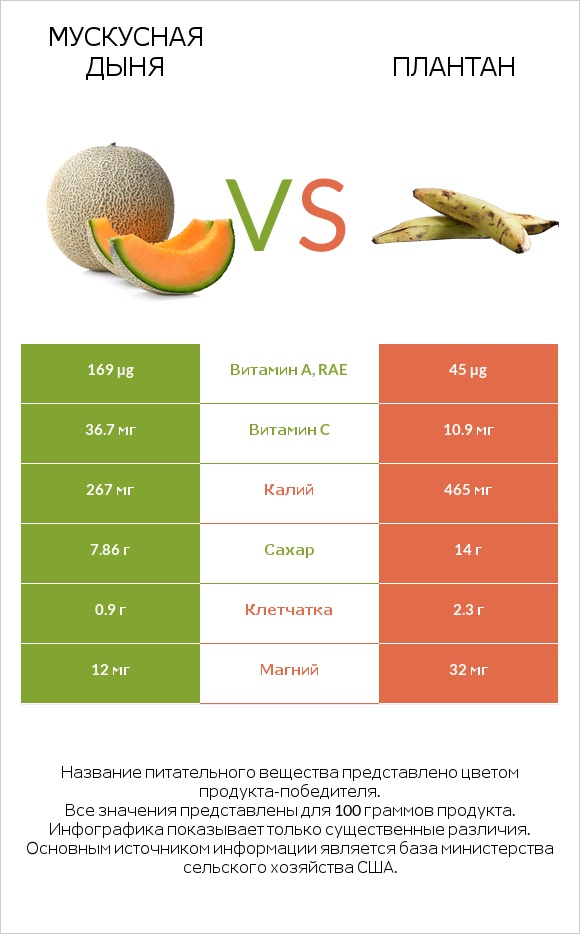 Мускусная дыня vs Плантан infographic