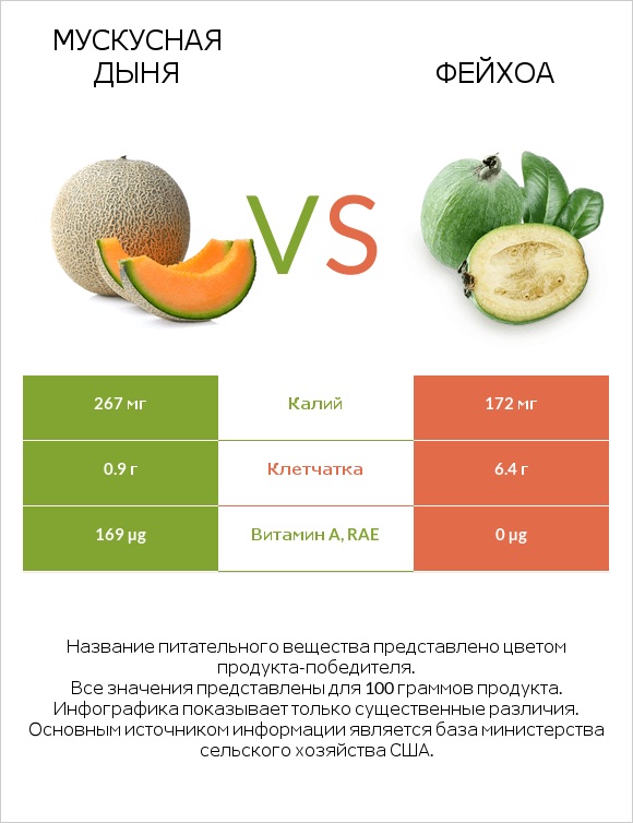 Мускусная дыня vs Фейхоа infographic