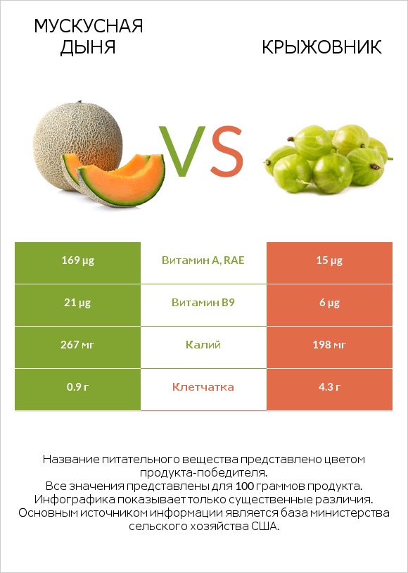 Мускусная дыня vs Крыжовник infographic