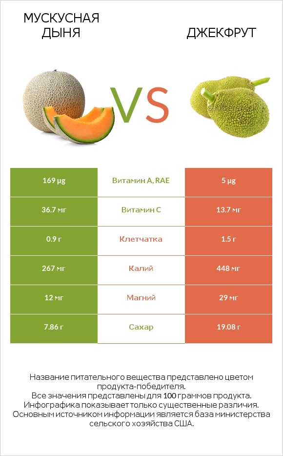 Мускусная дыня vs Джекфрут infographic