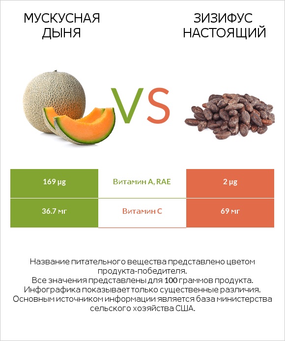 Мускусная дыня vs Зизифус настоящий infographic