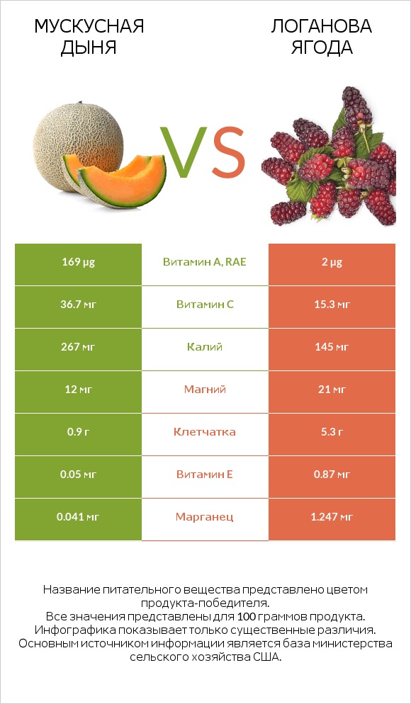 Мускусная дыня vs Логанова ягода infographic