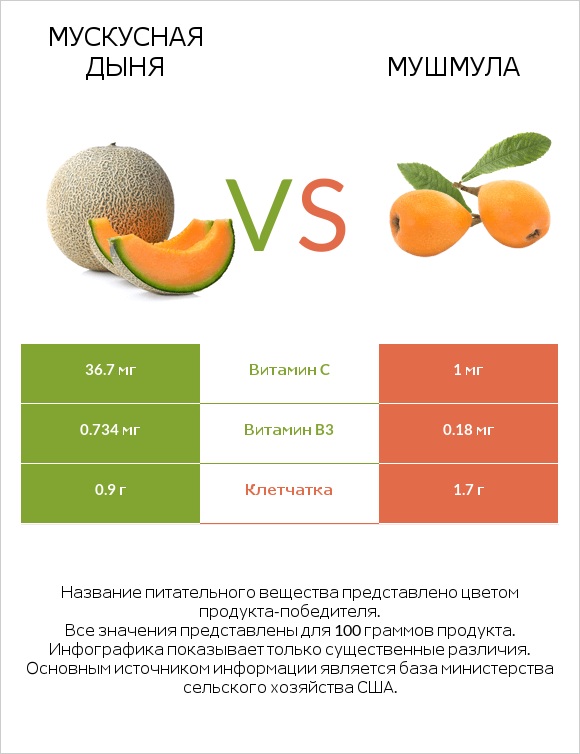 Мускусная дыня vs Мушмула infographic