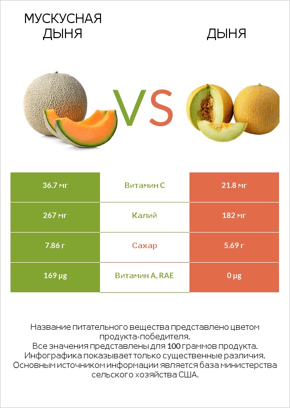 Мускусная дыня vs Дыня infographic