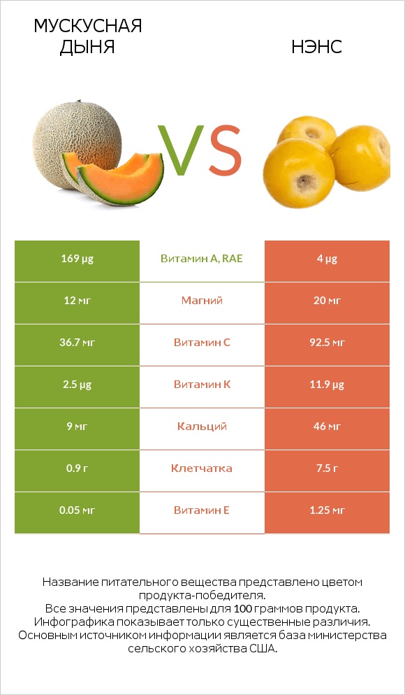 Мускусная дыня vs Нэнс infographic