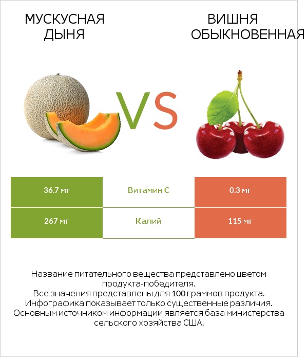 Мускусная дыня vs Вишня обыкновенная infographic