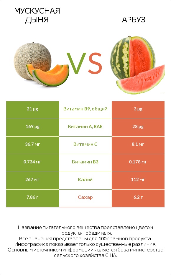 Мускусная дыня vs Арбуз infographic