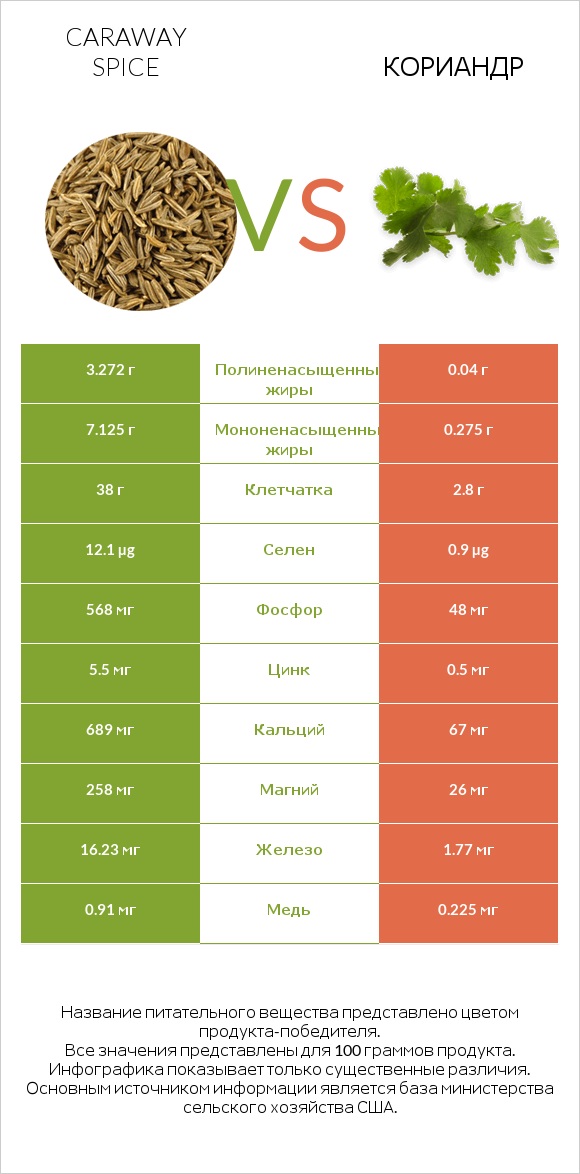 Caraway spice vs Кориандр infographic
