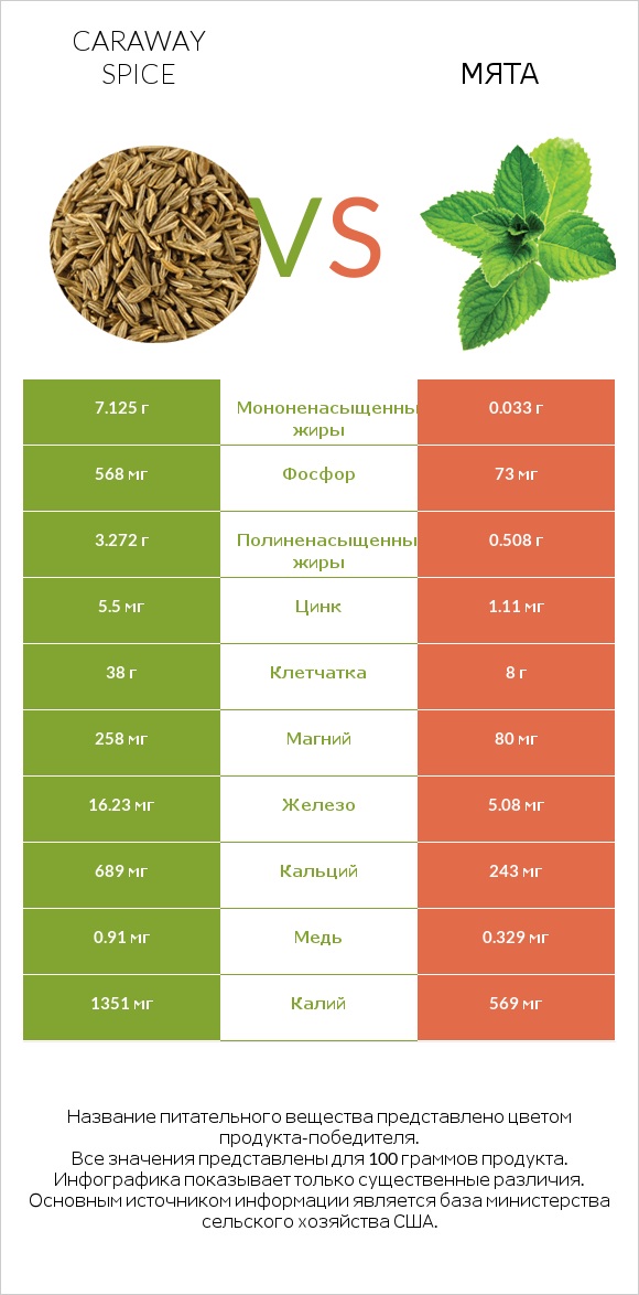Caraway spice vs Мята infographic