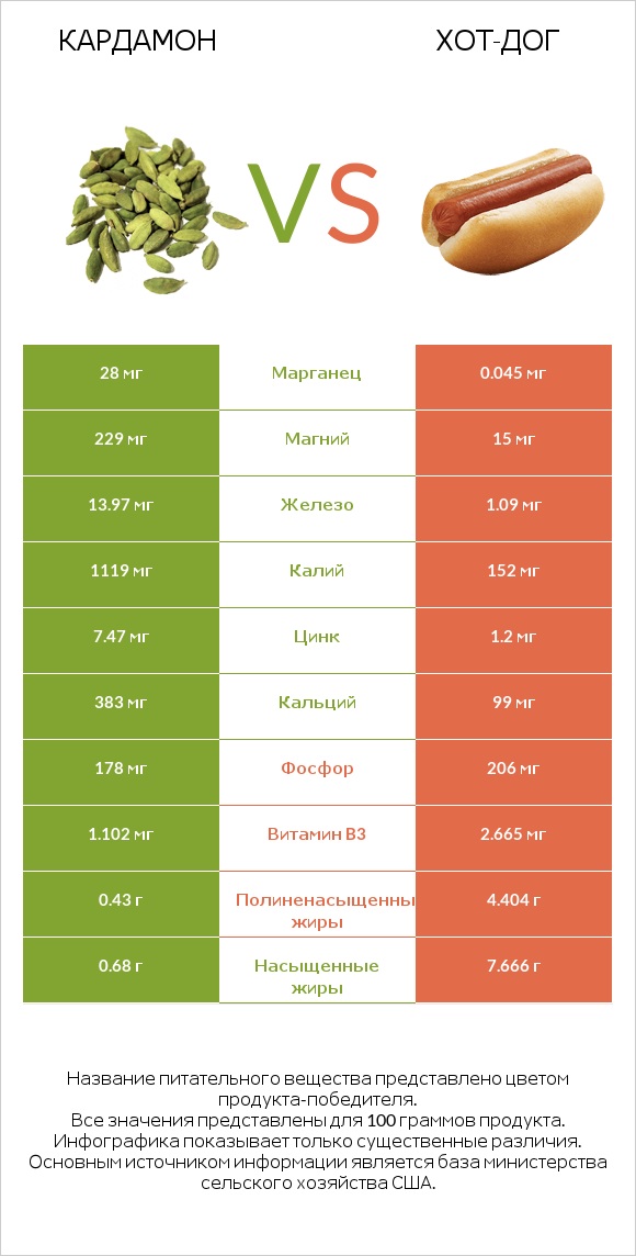 Кардамон vs Хот-дог infographic