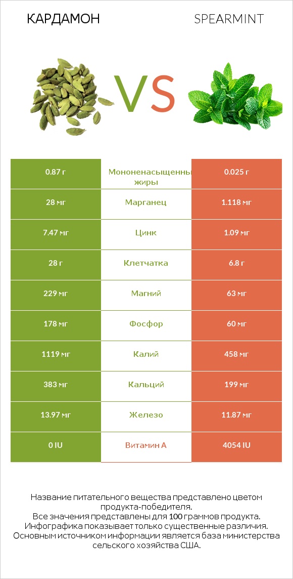 Кардамон vs Spearmint infographic