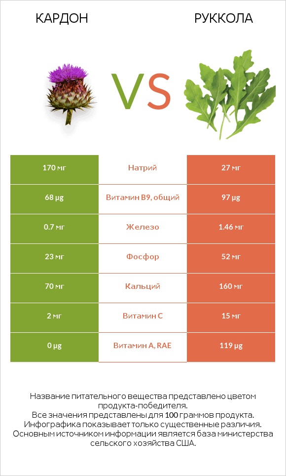 Кардон vs Руккола infographic