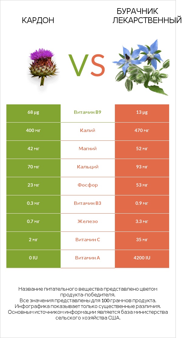 Кардон vs Бурачник лекарственный infographic