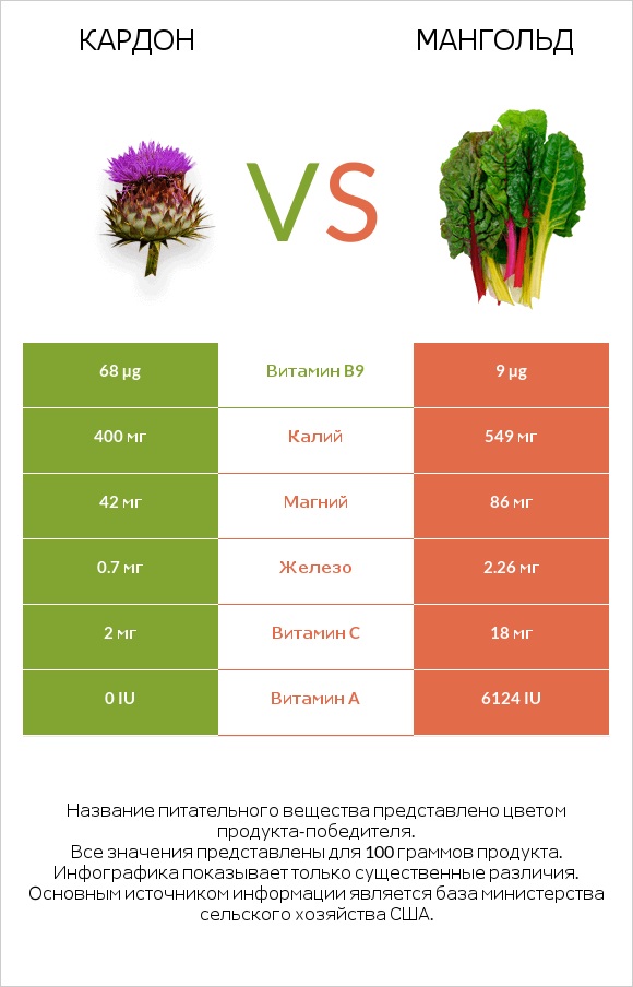 Cardoon vs Мангольд infographic