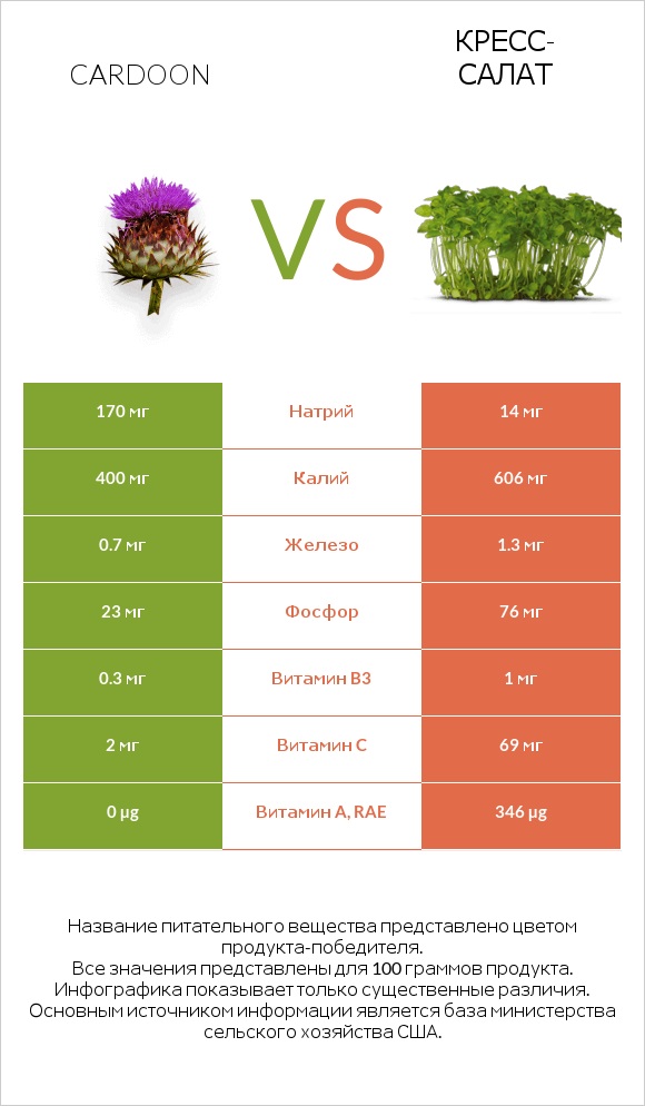 Кардон vs Кресс-салат infographic