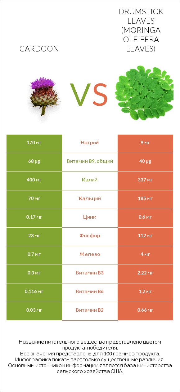 Cardoon vs Drumstick leaves infographic