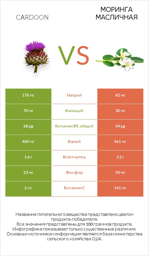 Cardoon vs Моринга масличная infographic