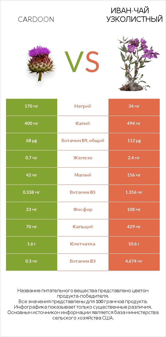 Кардон vs Иван-чай узколистный infographic